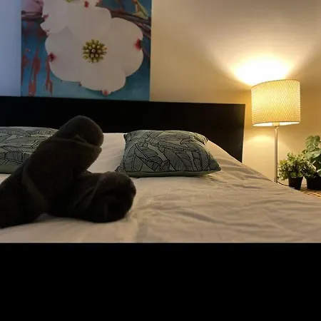 101 - - By T&s 公寓 *